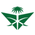 Saudi Arabian Airlines